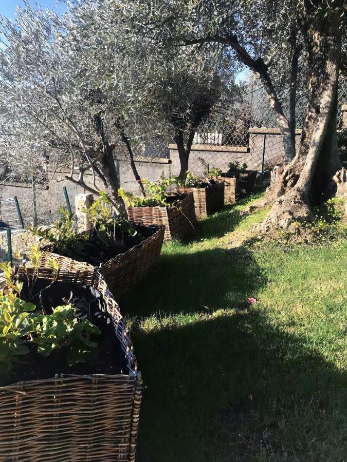 Agriturismo Le Pale 2 Swimming Pool And Parking ボリアスコ エクステリア 写真