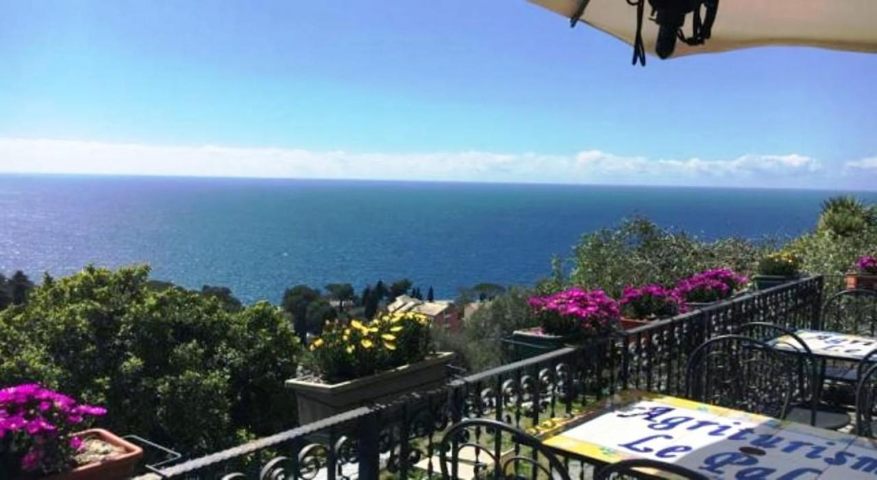 Agriturismo Le Pale 2 Swimming Pool And Parking ボリアスコ エクステリア 写真